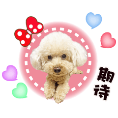 蕭錢錢與蕭小妹2