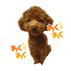 Nanami_20211114165201