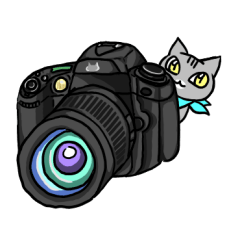 Cat stickers: love camera