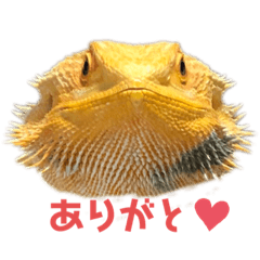 saori_20211114201449