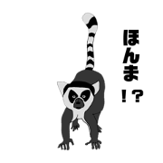 yoppy_20211114203655