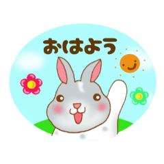 tiny happy rabbit