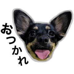 saya_20211114221917