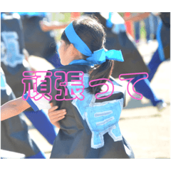 Alice_20211115094030