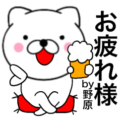 Name cat Nohara