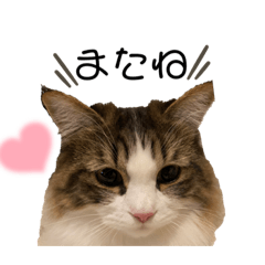 PONZU_20211114183324