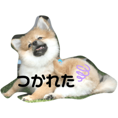 seira_20211114205117