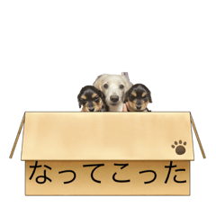 akira_20211114231553
