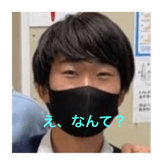 sun_20211114194246