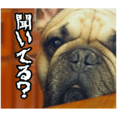sukokanrsasukoji