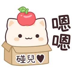小星貓姓名貼2_碰兒♥專用