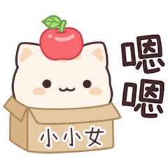 小星貓姓名貼2_小小女專用