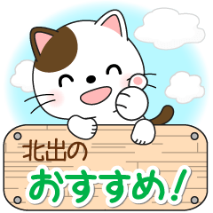 Mr. Nyanko for KITADE only [ver.2]