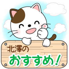 Mr. Nyanko for KITASAWA only [ver.2]