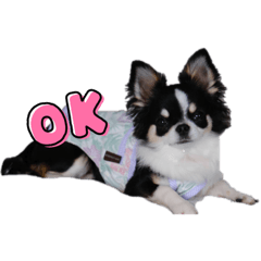 Yuina_20211115075949