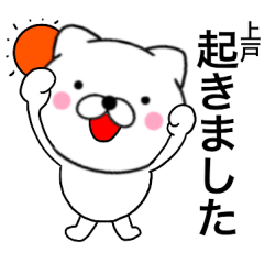 Name cat Ueto