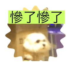 親手畫的搞笑人物