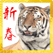 Photograph of the tiger