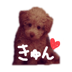 Hana_20211115123644