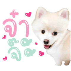 Iamnook_20211115003747