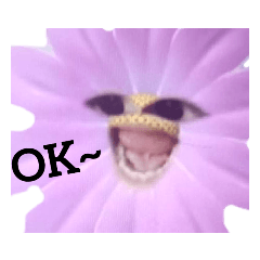 Tara flower