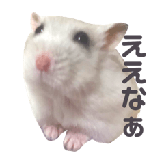 Hana_20211115153336