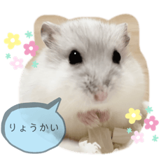 yukari_20211115162435