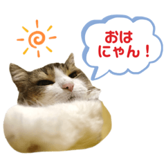 Chisa_20211115164950