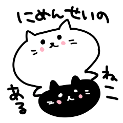 Two-sided cat