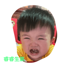 睿睿生活表情