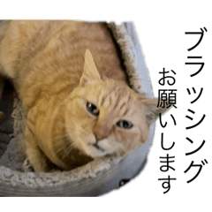 Japanese cat stamps'Tama'1