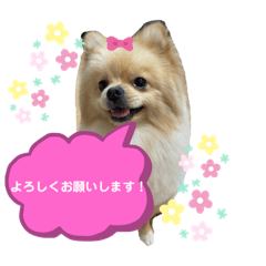 sayuri_20211115201513