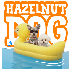 Hazelnut Dogs