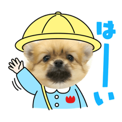 ponzu_20211115225222