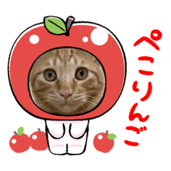 tomomi_20211115213444