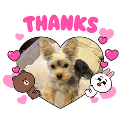 hikari_20211115223333