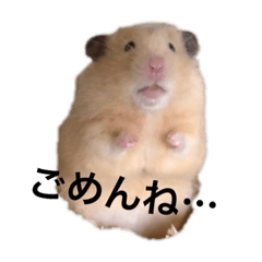 boku.ten_20211115233238