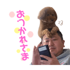 momoko_20211116004004