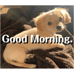 Kyoka.s_20211115191430