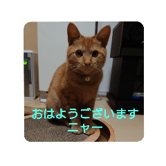 yuka_20211115230617