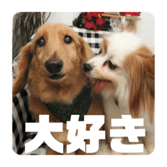 miki_20211116132231