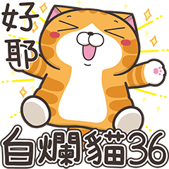 白爛貓36☆超實用☆