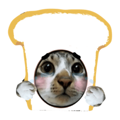 meow meow farm