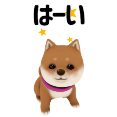 Mame Shiba inu Sticker