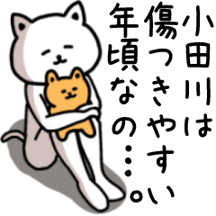 Sticker of ODAGAWA(CAT)