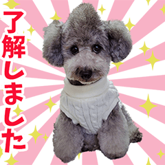 LUCKY FRIEND Sticker