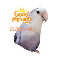 hana_20211116154800