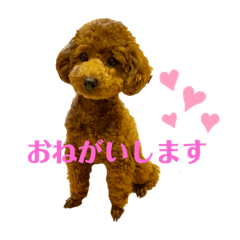 Nanami_20211116172906