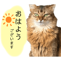 akira_20211116192249