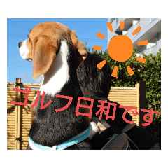 akiko_20211116195329